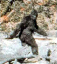 Patterson-Gimlin photo of Bigfoot.