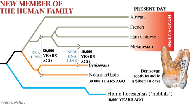 Denisovan