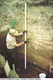 Archaeological stratigraphy of a prehistoric Native American site along the Susquehanna River in Pensylvania.