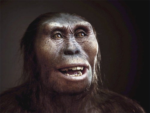 Australopithecus afarensis