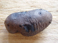 Vaporized potato.  First item baked in the Black Oven at 1006 Mississippi Ave., Duluth, MN.