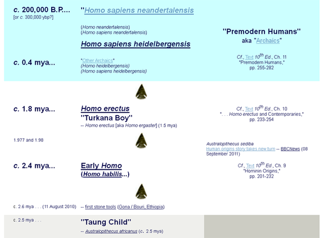 Early Homo and Home Erectus  from Times to Remember Handout