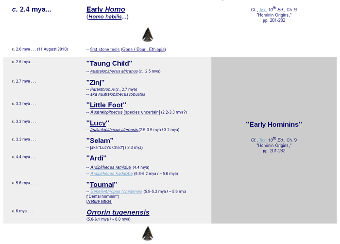 Hominins from Times to Remember Handout