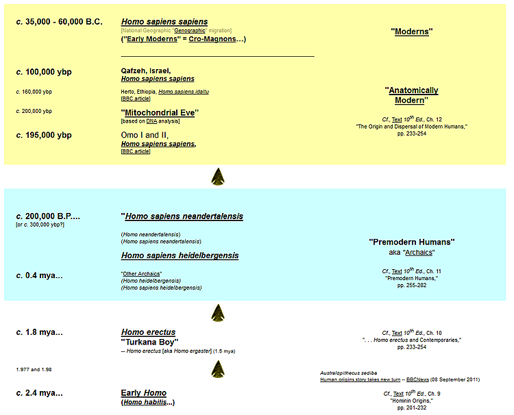 Early Homo to Homo sapiens sapiens from Times to Remember Handout