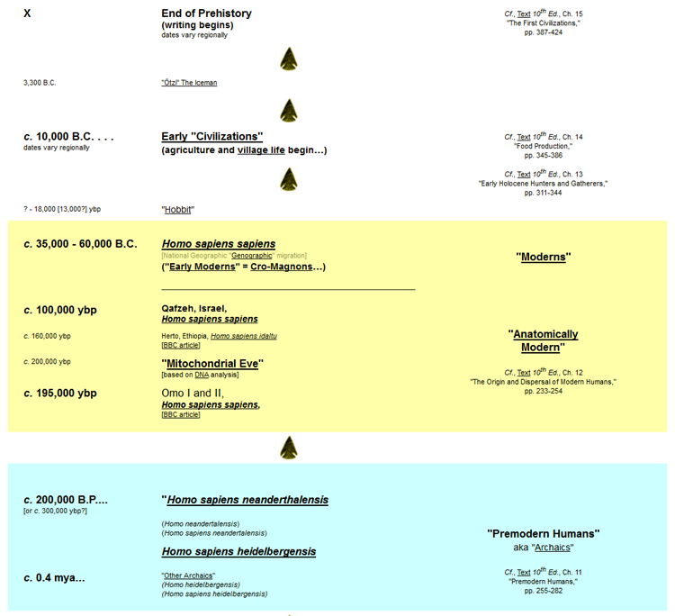 Early Homo to Homo sapiens sapiens from Times to Remember Handout