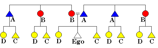 Hawiian kinship system.