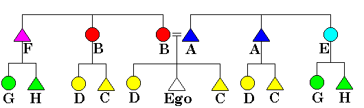 Iroquois kinship system.