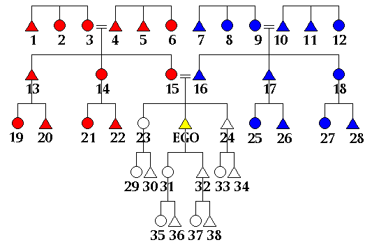 Matrilineal and Patrilineal kinship systems.