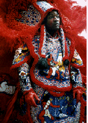 New Orleans Black Indian.