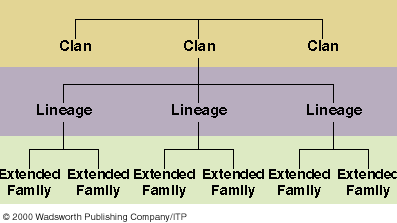 Unilineal Kinship Groups