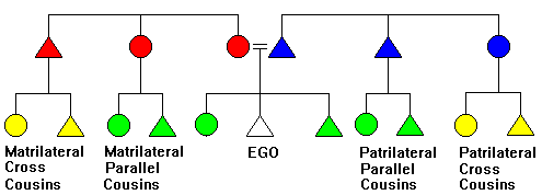 Kinship diagram illustrating standard cousin relationhsips.