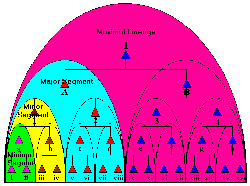 Segmentary lineage diagram.