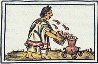An Aztec woman blowing on maize before putting in the cooking put, so that it will not fear the fire. Florentine Codex, late 16th century.