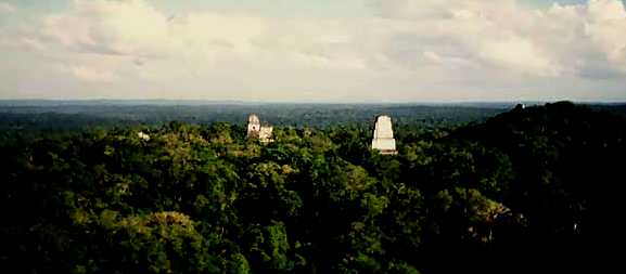 Tikal.