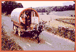 Irish Travellers in a horse-drawn wagon.