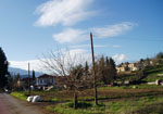 Vasilika, edge of town, January 2006.