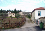 Vasilika village, January 2006.