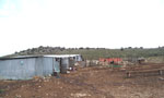 Farm, Vasilika, Greece, 2006.