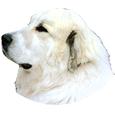 Great Pyrenean Mountain Dog