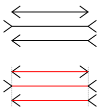 Muller-Lyer Illusion.