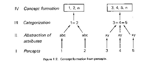 Spradley's diagram of concepts.