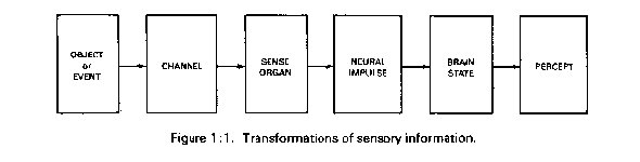 Spradley's diagram of percepts.