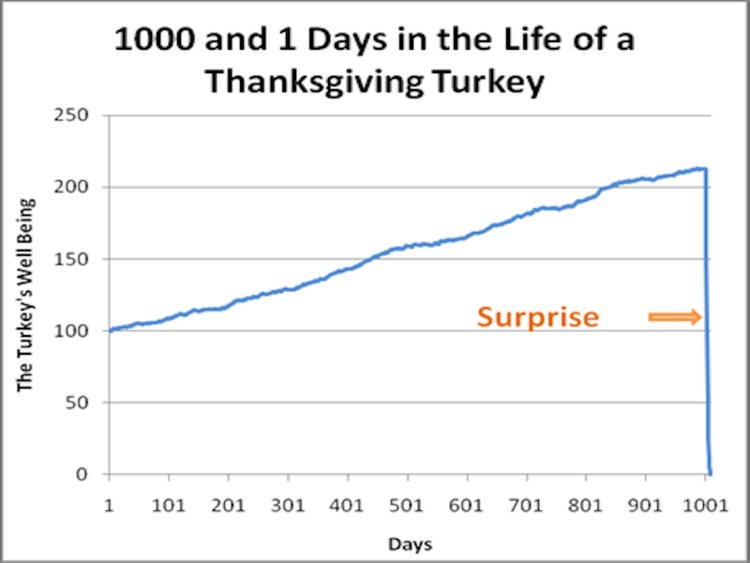 Taleb Turkey Graph