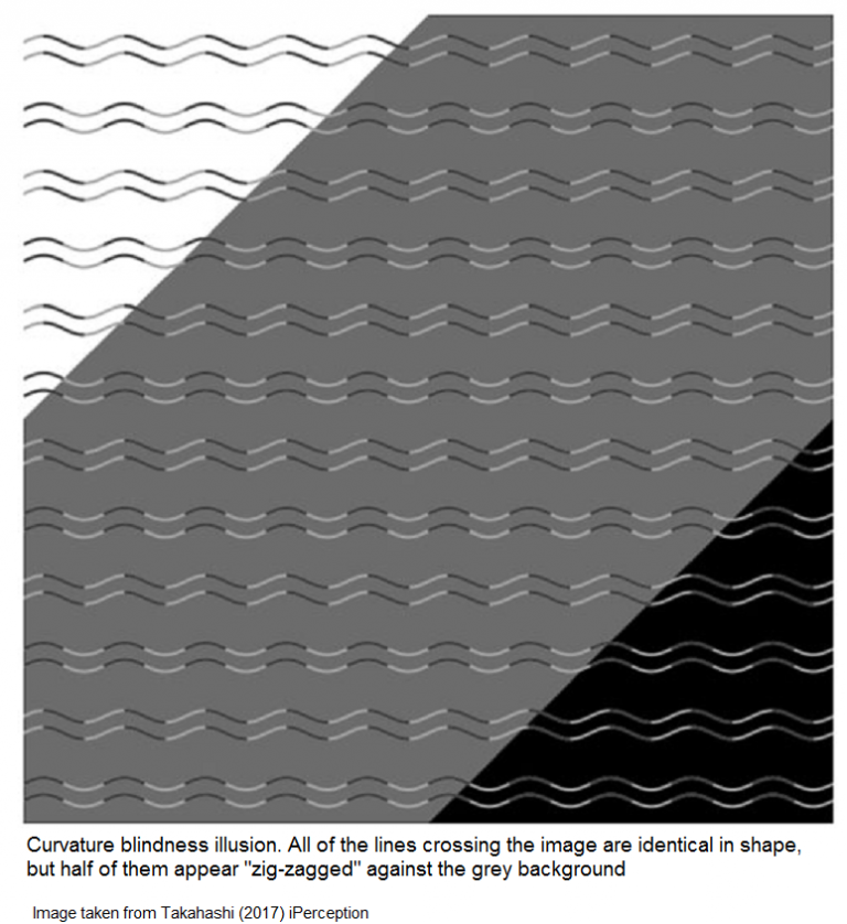 "Curvature Blindness" Illusion