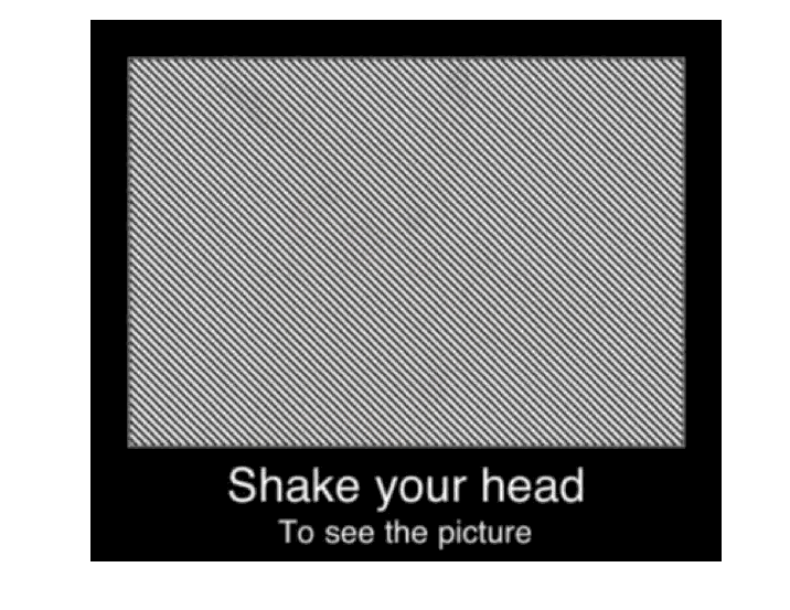 Shake-your-head optical illusion.