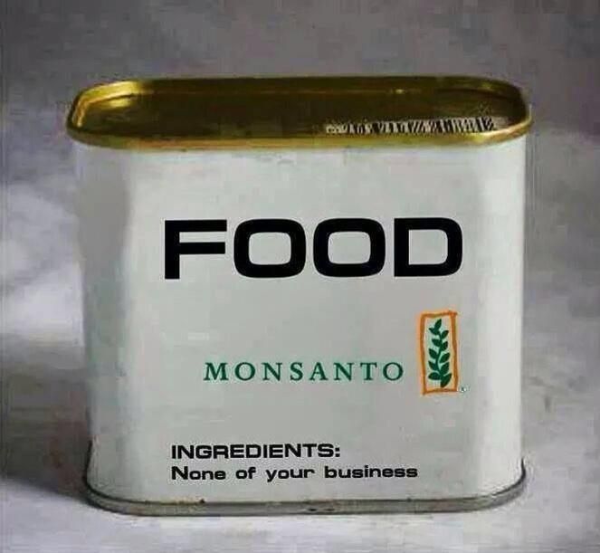Food Monsanto Cartoon (Source Pinterest)