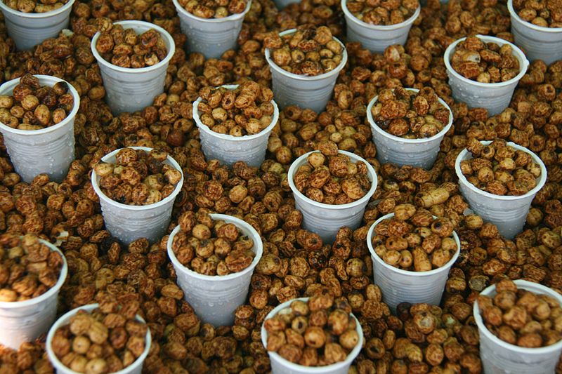 Peanut shells, with one split open revealing two seeds with their brown seed coats.