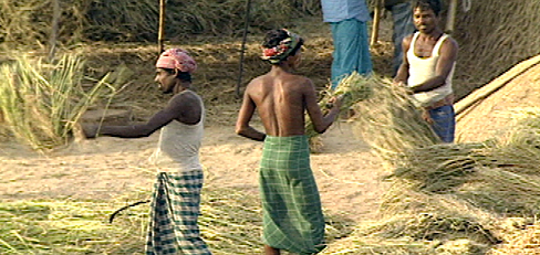 The Global Banquet: Politics of Food.