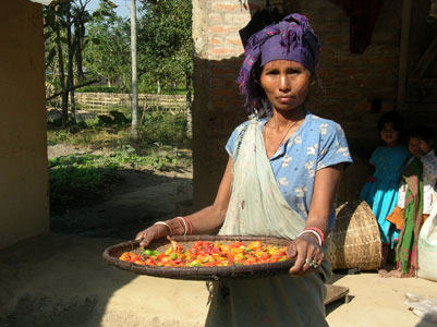 Karbi woman holds her basket of bhut jolokias, a prized possession.