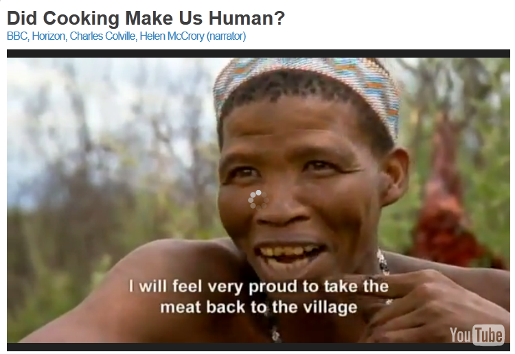 Video: Did Cooking Make Us Human?  BBC Horizon program.