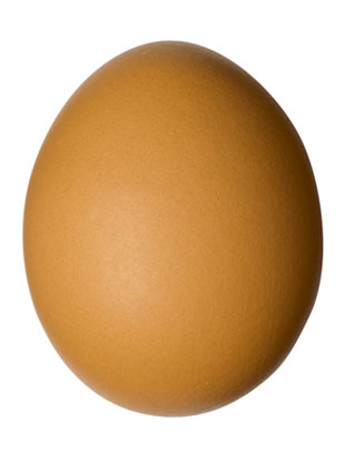 Brown egg.