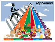 New USDA food pyramid.