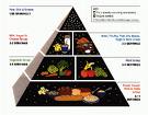 Old USDA food pyramid.