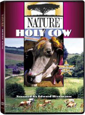 Holy Cow Video, Nature.