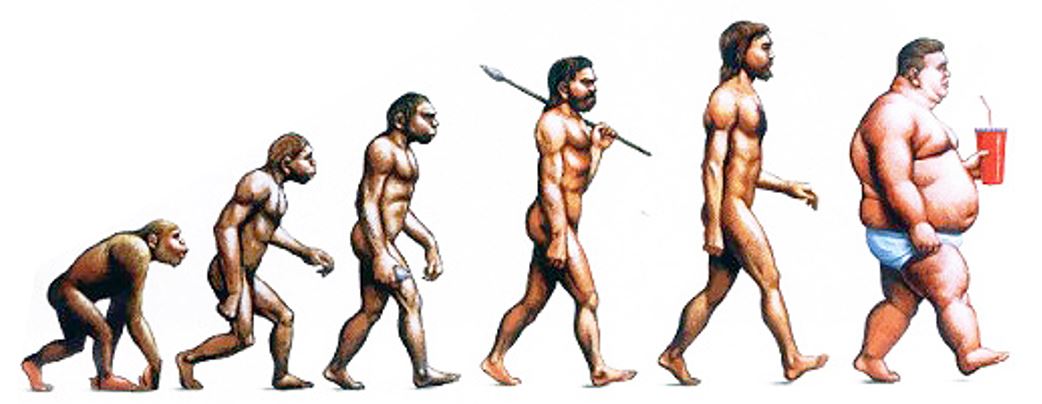 Evolution of obesity.