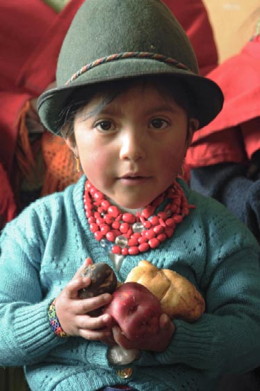Child with potatoes, Ecuador.