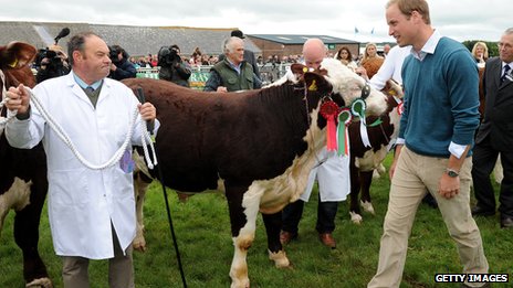 William to take Cambridge University agriculture course