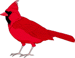 Cardinal.