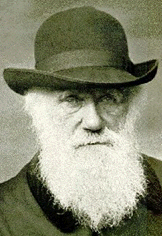 Darwin Picture