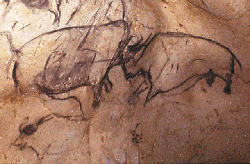 Prehistoric Fighting Rhinoceroses