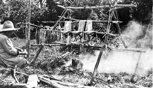 Mrs. Rozer drying fish, ca. 1910