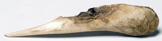 Ojibwe bone awl, Leech Lake.