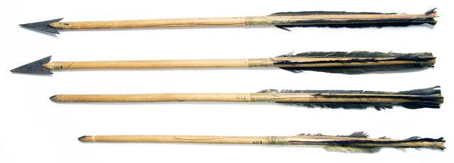 Ojibwe wood and steel arrows, White Earth, ca. 1891.