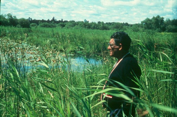 Paul Buffalo Meditating Wild Rice Beds