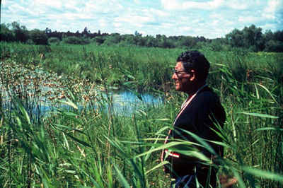 Paul Buffalo meditating wild rice beds.