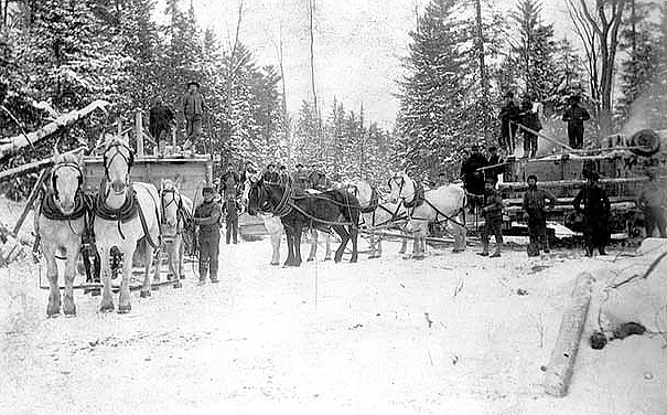 Horse drawn road sprinkler, ca. 1890.